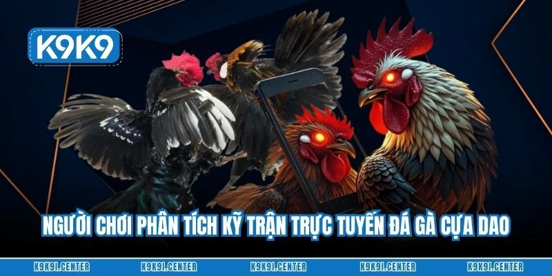 Người chơi phân tích kỹ trận trực tuyến đá gà cựa dao
